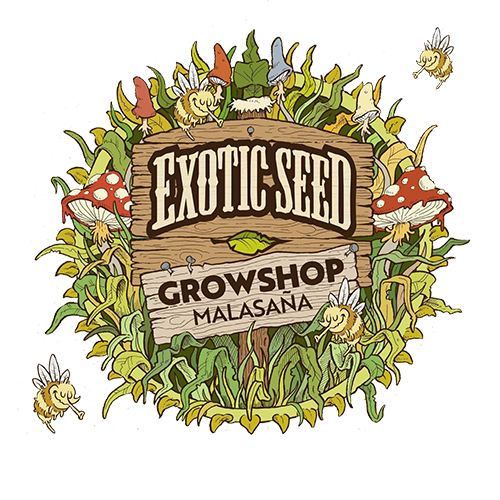 Exotic Seed Grow Shop - Cannabis seeds